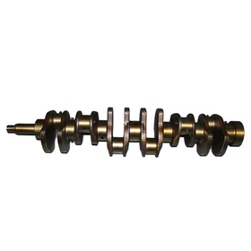 DE12T1S Engine Overhaul Rebuild Kit-Crankshaft/Piston/Conrod/Gasket for Doosan