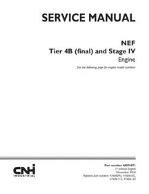 Case NEF Tier 4B Stage IV F4DFE4131*B001, F4DFE4131*B002 Engine Service Manual