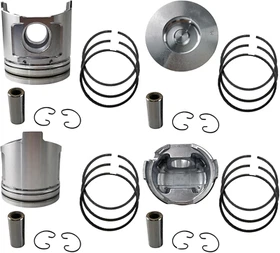 piston set 123907-22081 for Yanmar 4TNV106 4TNV106T Engine Takeuchi T150