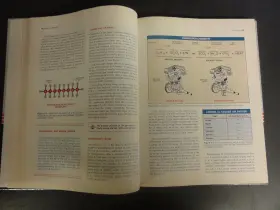0-8269-0008-9 BRIGGS STRATTON Engines Manual #3