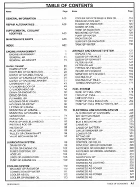 SEBP4337 CAT Caterpillar Generator Set Engine Manual Digital #2