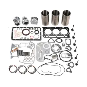D902E EOIOU Rebuild Kubota Engine Kit