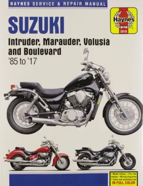 038345021688 HAYNES Technical Repair Manual