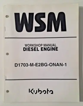 D1703-M-E2BG-ONAN-1 ONAN Diesel Engine Kubota Workshop Repair