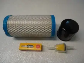 689231995332 PRAYTERS PARTS Tune Up Service Ez Go Golf Rxv