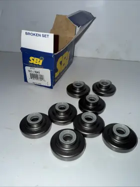 161-1041 SBI International Nos