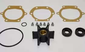 691200298399 STAYCOOLPUMPS Service Johnson Kit #2
