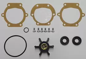 691200298399 STAYCOOLPUMPS Service Johnson Kit #3