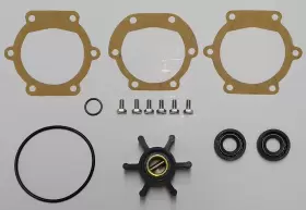 691200298399 STAYCOOLPUMPS Service Johnson Kit