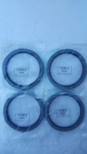 D76745 TEREX Manuals Books