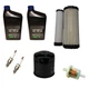 Tune Up Kit Fits Kawasaki FS481-600V FR651V FS730V FS481V-FS691V FR730V FR691V