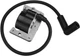 Ignition Coil Module For Ford T-800 Ford 80 Garden Tractor