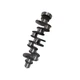 Crankshaft Assy 2831067 4981226 For Cummins ISBE 4 Cylinder Engine