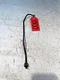 1976 International IH 1586 Tractor Fuel Line