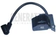 Ignition Coil Module For Homelite BP250 Blowers bc730sbr d630cd String Trimmers