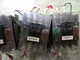 MITSUBISHI S-K11 CONTACTOR   MAZAK QT-35N CNC LATHE NO RELAY LOT OF 3 