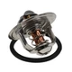 One New Thermostat 1-13770070-0 Fits Isuzu Engines 6BB1 6BG1 6BD1 6BD1-T