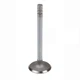 Exhaust Valve Fits International 140 240 330 340 340 130 140 230 240 366303R4