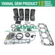 New 4TNE84 Overhaul Rebuild Kit For Yanmar Engine Daewoo DSL601
