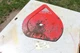 TORO 38050 Snowblower 724 AUGER HOUSING SIDE L 43-7430