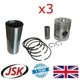 Pistons with Liners Pins & Rings for Perkins AD3.152 AD4.203 D3.152 D4.203 CE JE