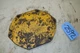 International IH 2504 Gas Tractor Side Transmission Cover Plate 504