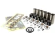 ENGINE OVERHAUL KIT FOR SOME MASSEY FERGUSON 6180 6190 8110 8120 8130 TRACTORS