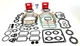 RINGS & GASKET SET, PLUGS F/FILTER FITS BRIGGS394501 491856 495868 400000-422700