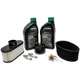 Tune Up Kit for Kawasaki FR651V FR691V FR730V FS481V FS541V FS600V FS651V...