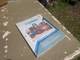 I&T Shop Manual Collection - FO-201 Ford 5000 8000 9700 TW10 8700 TW20 9000 TW30
