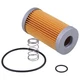 1A001-43160 Fuel Filter for Kubota L3300 L3350 L3410DT L3410HST L3430DTF L3450