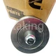 New Drive Belt Idler Pulley 3400884 for Cummins M11 ISM11 QSM11 4ISBE 4B4.5 