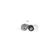 One New Dayco Accessory Drive Belt Tensioner Assembly 89478