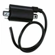 Ignition Coil Kawasaki FD501V FD590V FD611V FD620D FD661D FD501D FD440V  Engine