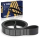AISIN AFTERMARKET AVBAZ-00180 Serpentine Belt - Compatible with Mack CXU LEU ...