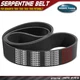 47.72" Fan Heavy Duty Serpentine Belt for Kenworth T660 T680 T800 W900 Peterbilt