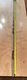 NOS A&I 303075338 PTO Drive Shaft Oliver 2255 White 2-150 Tractor 30-3075338