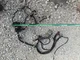 Kubota Zd18 Zd21 Zero Turn Mower Wiring Harness Please Look At Pics