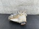 Transmission Transfer Case Gear Box Mercedes W251 W164 X164 Gl350 Gl450 oem