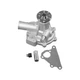 Engine Water Pump New Holland LS140 LS150 LS160 LS170 LX465 LX485 SBA145017780