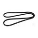 1N3795 V-Belt Single Fits Caterpillar CP-563D CS-531D CS-563D CS-573D CS-583D