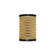 26560163 Fuel Filter Fits Landini Tractor PowerFarm Meccanico 60 75 85 95