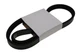 JEENDA Drive Belt 6660994 61" for Bobcat Skid Steer Loader 753 763 7753 77350...