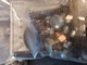 PAI 8958-500 Small Parts Kit balls springs Mack T-2050 transmission