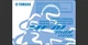 2020 Yamaha YFM700R ATV Maintenance and Owner's manual