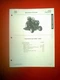 TORO CLASSIC GT GARDEN TRACTOR ELECTRICAL DEMYSTIFICATION MANUAL 315-8 2004 2005
