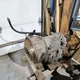 Allison 3000 PTS Transmission. Serial# 6510663948. 147K