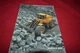 Volvo BM  L150C L180C Wheel Loader Dealers Brochure AMIL15 