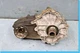 06-13 Mercedes X164 GL550 ML550 R350 Transmission Transfer Case Gear Box OEM