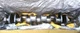1830596C91 NEW MTU INTERNATIONAL CRANKSHAFT DT466E DT466 DT530E DT530